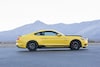 Shelby Mustang GT