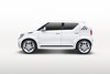 Suzuki concepts