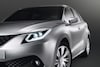 Suzuki concepts