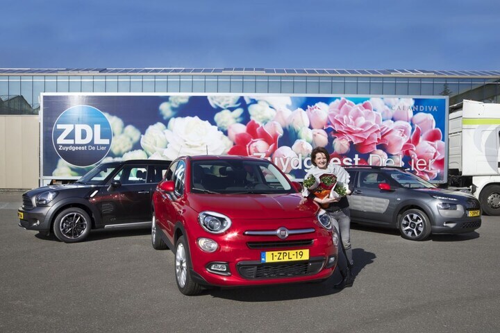Fiat 500X - Citroën C4 Cactus - Mini Countryman