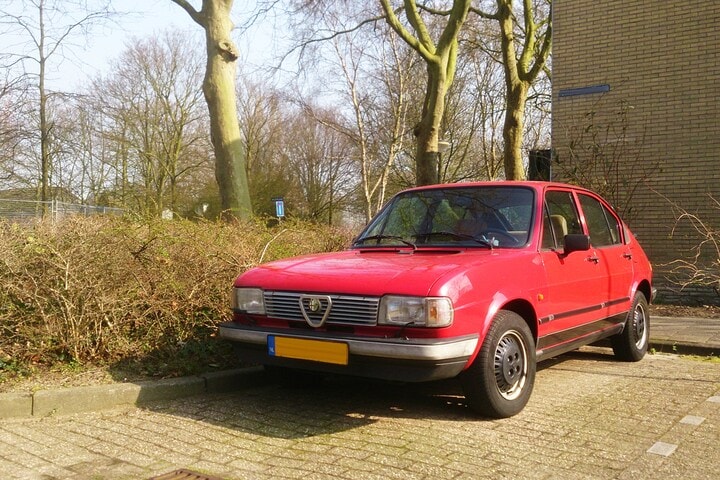 Alfa Romeo Alfasud In het Wild