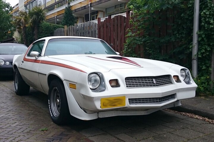 Chevrolet Camaro In het Wild