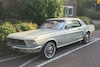 Ford Mustang In het wild