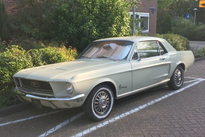 Ford Mustang In het wild