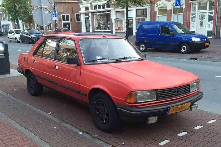 Peugeot 305 In het wild