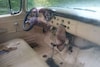 In het wild: Chevrolet 3200 (1955)