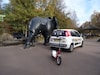 Van Pinda Naar Panda 5