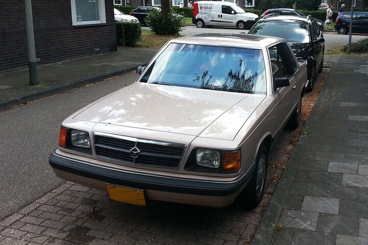 Dodge Aries In het Wild