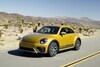 Volkswagen Beetle Dune