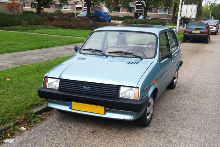 Austin Metro In het Wild