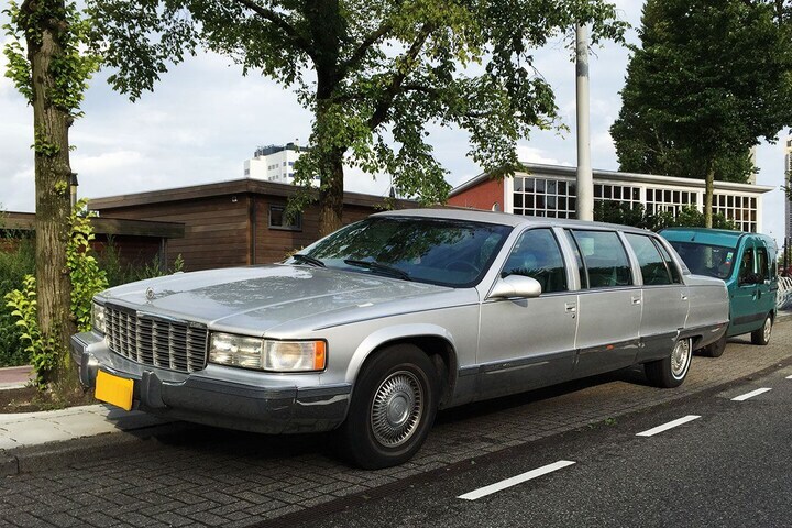 Cadillac Fleetwood Limousine In het Wild