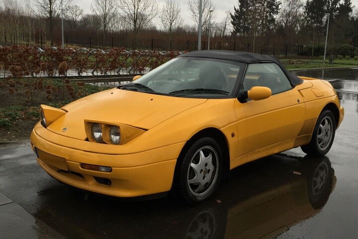In het wild Lotus Eland