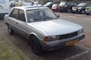 In het wild Peugeot 305