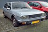 In het wild: Renault 20