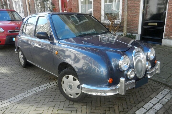 Mitsuoka Viewt In het Wild