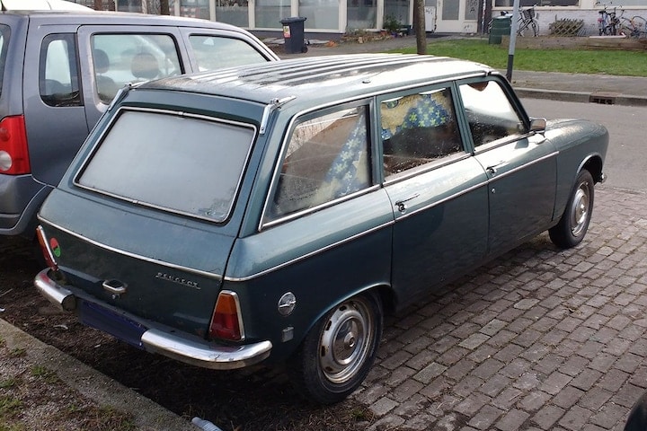 Peugeot 204 Break In het Wild