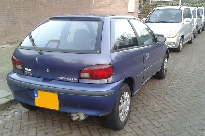 Geo Metro In het wild