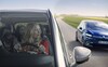 Citroën C4 Picasso en Grand C4 Picasso