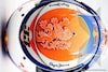 Max Verstappen oranje schoenen en helm