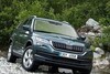 Gelekt: Skoda Kodiaq