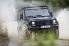 Mercedes-Benz G350d professional
