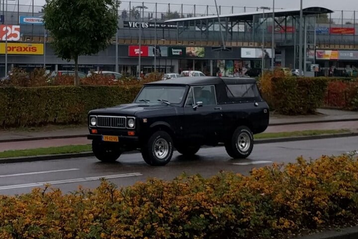 In het wild: International Scout