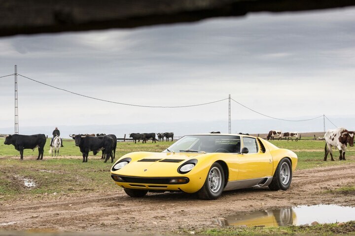 Per Lamborghini Miura P400 SV naar de boerderij