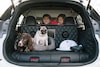 Nissan X-Trail 4Dogs Concept