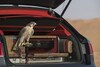 Bentley Bentayga Falconry