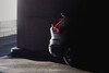 Volvo XC40 bilpartij