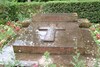 Graf Louis Renault