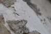 gladheidbestrijding strooizout winter