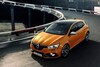 Renault Mégane RS gelekt