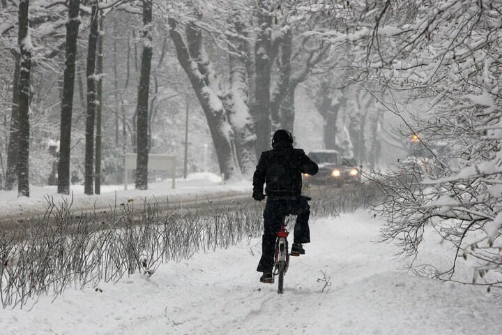 Sneeuw winter koud glad ijs krabben