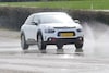 C4 Cactus