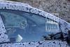 Renault Zoe Spyshots