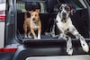 Land Rover Pet Packs honden dieren achterbak