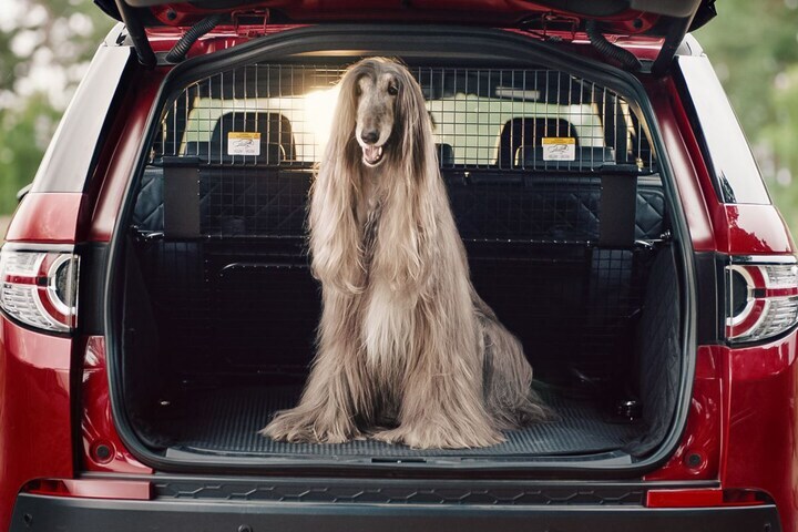 Land Rover Pet Packs honden dieren achterbak