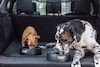 Land Rover Pet Packs honden dieren achterbak