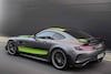 Mercedes-AMG GT en AMG GT R Pro