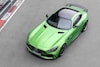 Mercedes-AMG GT en AMG GT R Pro