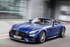 Mercedes-AMG GT en AMG GT R Pro