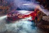 Skoda Scala teaser