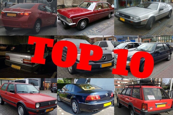 Jaarknallers: in het wild