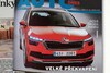 Skoda Kamiq gelekt