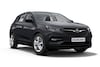Opel Grandland X Back to basics