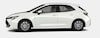 Toyota Corolla Back to Basics