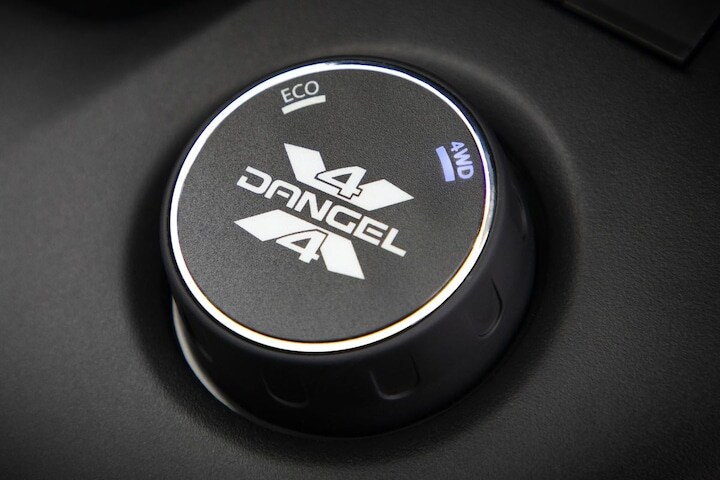 Opel Combo 4x4 Dangel