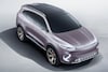 Denza Concept X