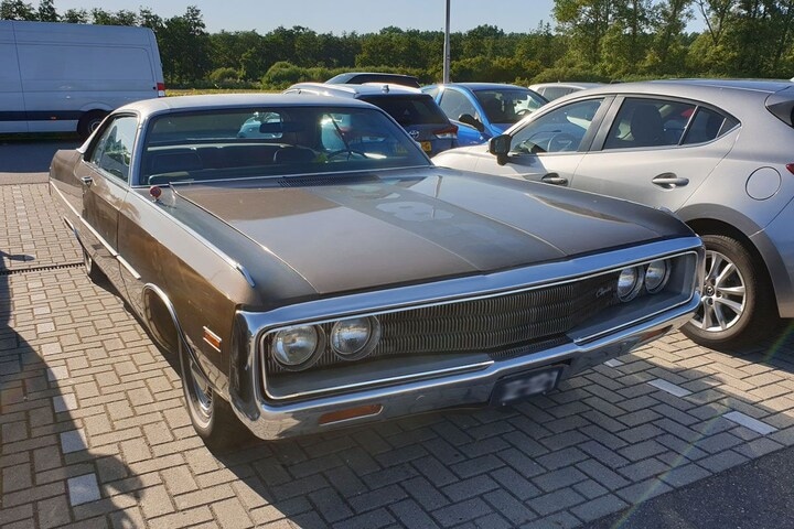 In het wild Chrysler Newport